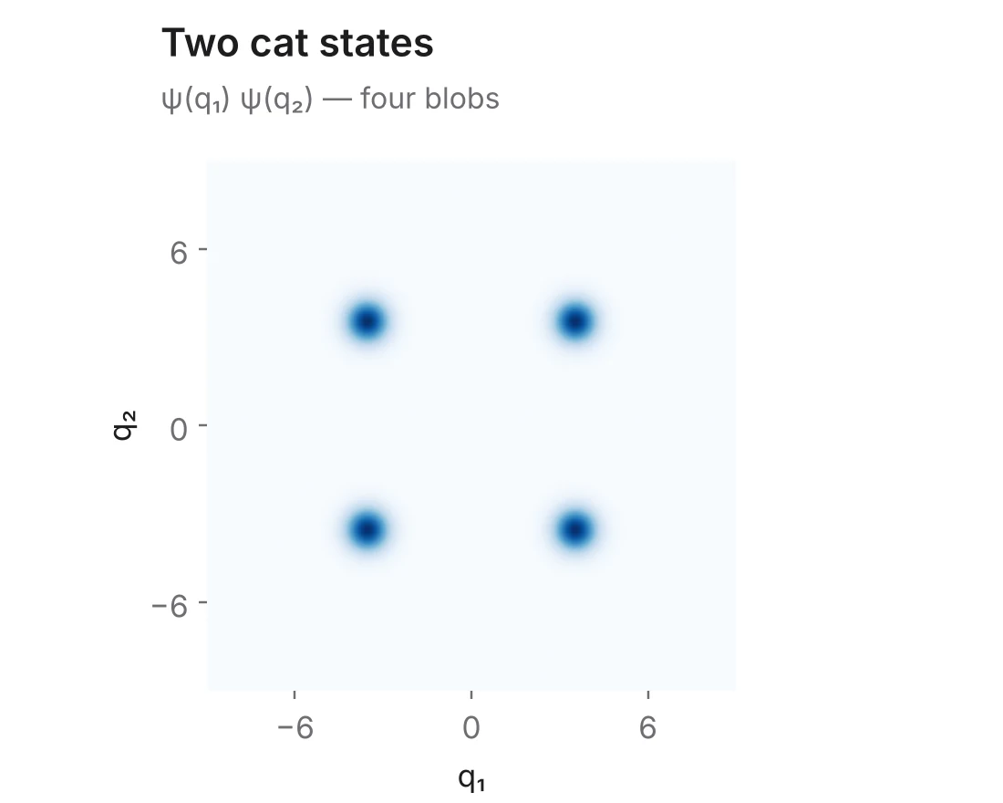 Two cat states as four blobs in the q1, q2 plane